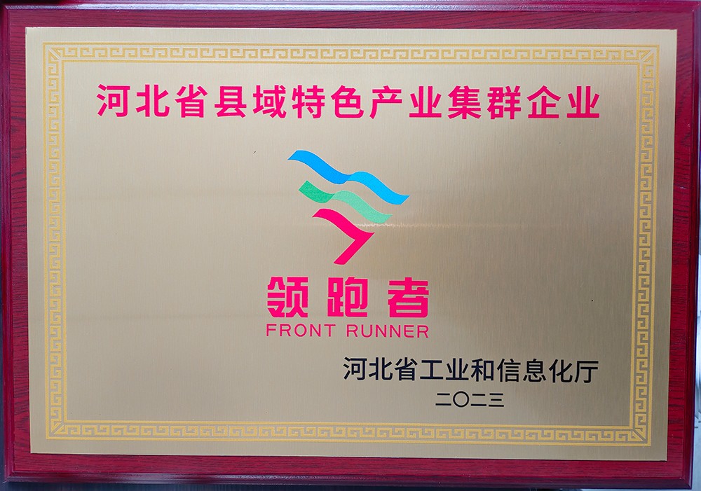 特色产业集群企业领跑者奖牌 拷贝.jpg